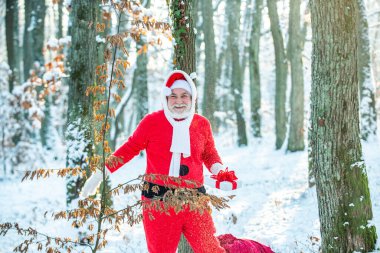 Büyükbaba Noel Baba ormanda yürür. Kırmızı kostümlü Noel Baba kış ormanında yürüyor. Noel hediyeleri getirdim..