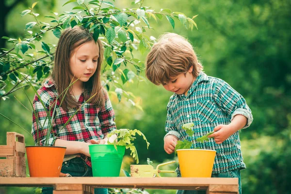 Los niños disfrutan en la granja. Dos jóvenes agricultores. Actividades eco resort. Tarjeta de San Valentín. Primer amor . —  Fotos de Stock