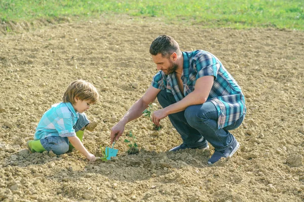 小さな男の子と父親が木を植える。父と息子の園芸。公園で木を植える家族の男. — ストック写真