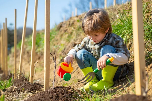 子供はシャベルと散水ができます。かわいい男の子が畑に芽を散水します。小さな男の子は農場で子供時代を楽しむ. — ストック写真