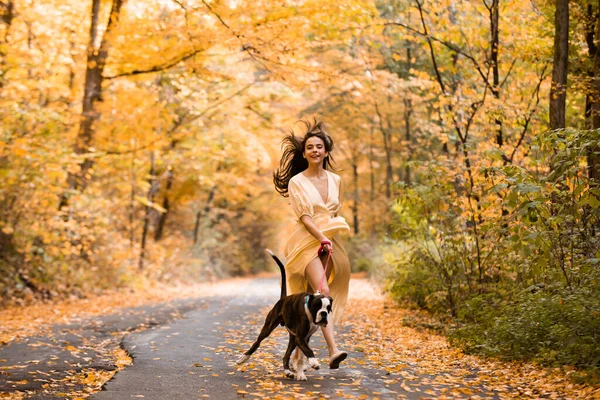 Uma menina caminhando com seu cão na floresta de outono colorido. Submissão. Melhores amigos. Mulher com cão a passear no parque. A mulher com um cão em um parque florestal . — Fotografia de Stock
