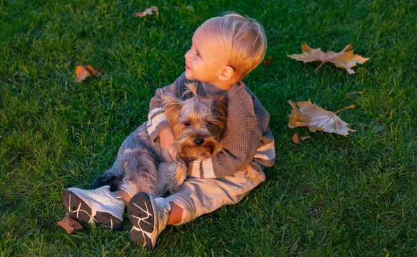 Gelukkige baby spelen met kleine hond in de herfstnatuur. Zonnige herfstdag. Outdoor portret van schattige baby. Schattig klein kind aaien zijn puppy en zitten op groen gras. — Stockfoto