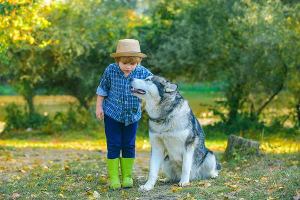 Edad de los niños pequeños. Niño pasar tiempo junto con un perro en el fondo de la naturaleza verde. Un niño rubio con su perro mascota en el parque. Niño de 5 años . —  Fotos de Stock