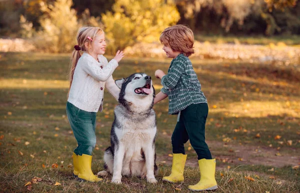 Χαμογελώντας μικρά παιδιά με το σκυλί με τα πόδια πάνω από το φθινόπωρο φόντο τομέα. Τα παιδιά αγκαλιάζουν στοργικά το σκυλάκι του. Παιδικές αναμνήσεις. — Φωτογραφία Αρχείου