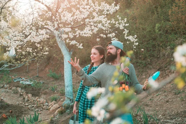 Счастливые садовники с весенними цветами. Любящая пара веселится в саду. Пара садоводства вместе на открытом воздухе — стоковое фото