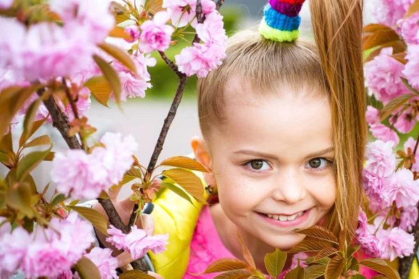 Klein gelukkig meisje spelen onder bloeiende kersenboom met roze bloemen. Meisje genieten van kersenbloesem. — Stockfoto