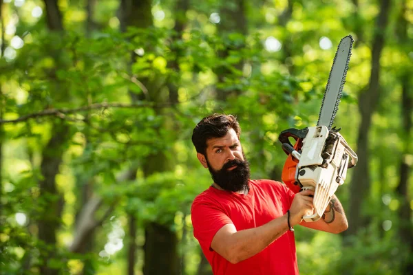 Man doing mans job. Logging. Lumberjack concept. Woodworkers lumberjack. Illegal logging continues today. Lumberjack holding the chainsaw. Woodcutter with chainsaw on sawmill.