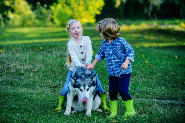 Ik hou van kinderen. Little Boy en meisje spelen buiten met zijn hond en genieten samen. Het begrip "jeugd". — Stockfoto
