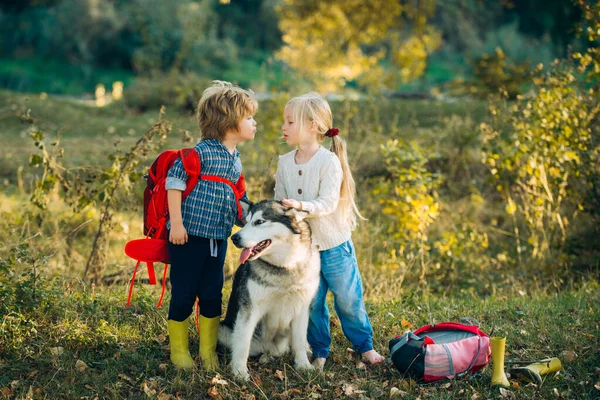 Dzieci biwakujące z psem. Dzieci i psy zwiedzają. Letni portret szczęśliwych słodkich dzieci - siostry i brata ze zwierzątkiem. Koncepcja turystyki kempingowej i wakacyjnej. — Zdjęcie stockowe
