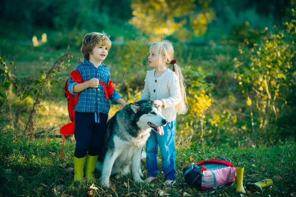 Children and dog on nature background. Children camping with pet dog.
