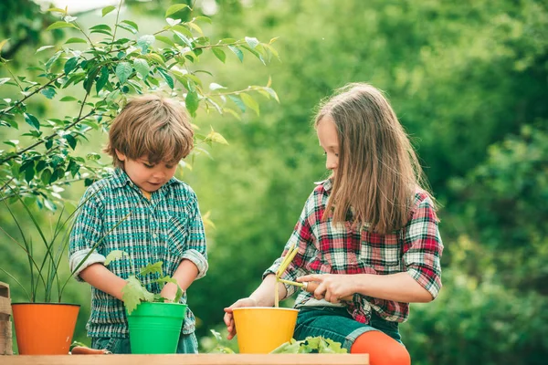 Ευτυχισμένα παιδιά εργάζονται φυτό και νερό στον καταπράσινο κήπο της άνοιξης. Παιδική και υπαίθρια έννοια αναψυχής. — Φωτογραφία Αρχείου