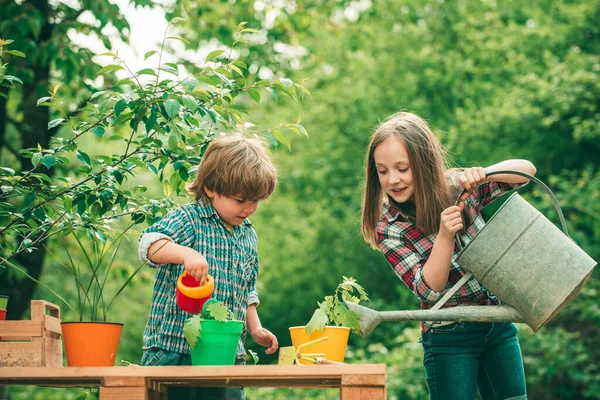 American kids on farm. Sweet childhood. Happy kids on summer field. We like spending time together on farm. Valentines day child. Watering flowers in garden. — Stock Photo, Image