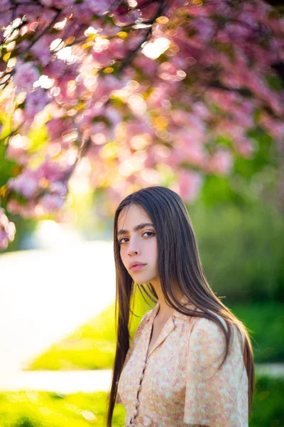 Beautiful girl standing in the Cherry blossom garden in a sunny bright summer day. — Stock Photo, Image