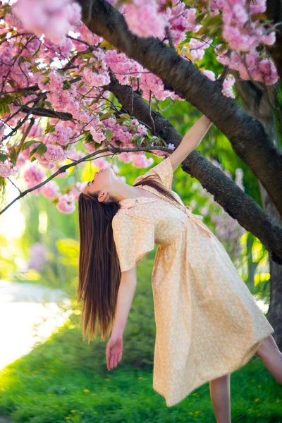 Çiçek açan ağacın yanında poz veren güzel, şık bir bayan. Şık kıyafetler giyen bir manken. Kadın güzellik modası. Şehir yaşam tarzı. — Stok fotoğraf