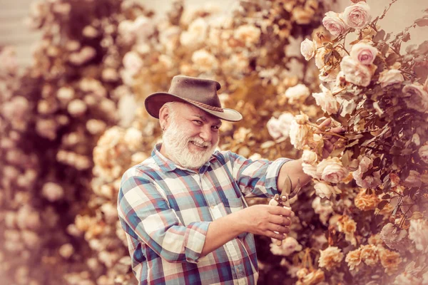 Älterer Mann bei der Gartenarbeit im Garten. Frühling und Hobbys. Frühling auf der Ranch. Blumen pflanzen. Ich liebe unsere Momente auf dem Land - erinnere mich an die Zeit. — Stockfoto