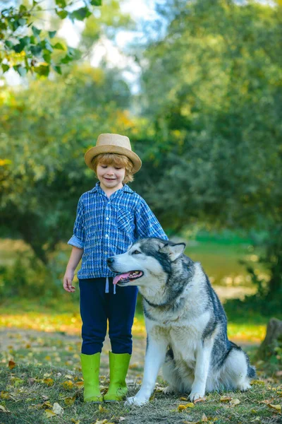 Niño niño y perro en el fondo de la naturaleza. Aventura y vacaciones concepto de los niños. Una infancia sin preocupaciones. Caminata por la naturaleza con niño y mascota. Divertido niño con perro . —  Fotos de Stock