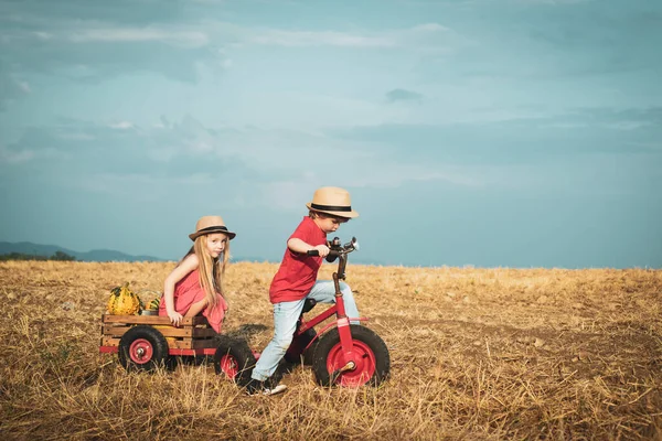 Забавная парочка с винтажным велосипедом. Детские воспоминания. Счастливые дети фермеры катаются на весеннем поле. Концепция активных детей. Природа и образ жизни детей. Детская фермерская концепция. Эко-жизнь . — стоковое фото