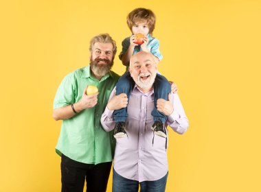Erkek Çoklu Nesil Portresi. Mutlu üç yaş multi nesiller. Erkekler ailesi, büyükbaba ve oğul sarı stüdyo arka planında eğleniyorlar.,