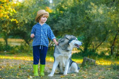 Küçük çocuklar evcil köpekleri ile birlikte dışarıda yürüyorlar. Çocuklar, doğaya aykırı bir alanda evcil hayvan besliyor. Çocuk evden uzaklaşıyor. Kamp turizmi ve tatil konsepti.