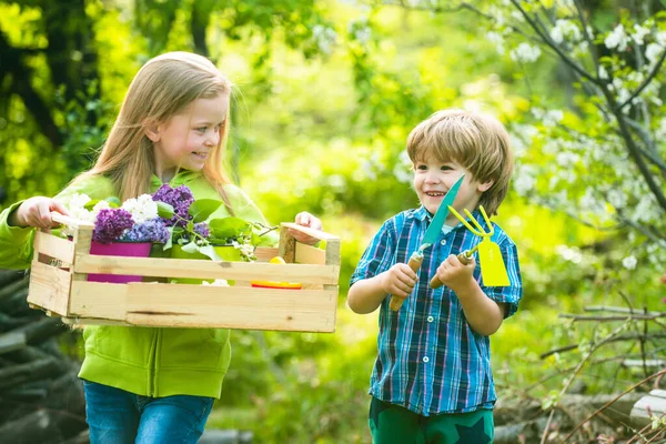 子供たちは花を植える。田舎の夏。子供たちは農場で楽しむ。自然と子供のライフスタイル。エコライフ。エコファーム。田舎暮らし。幸せな子供時代. — ストック写真