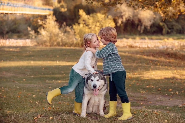Τα παιδιά αγαπούν την ιστορία. Χαμογελώντας μικρά παιδιά με το σκυλί με τα πόδια πάνω από το φθινόπωρο φόντο τομέα. Ρομαντικός και έρωτας. Γλυκιά παιδική ηλικία. — Φωτογραφία Αρχείου