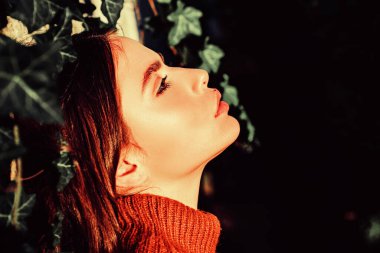 Doğal makyajlı güzel bir modelin profil portresi ve son güneş ışığını yakalayan pürüzsüz bir cilt. Sonbahar kraliçesi. Seksi esmer kadının yakın portresi..