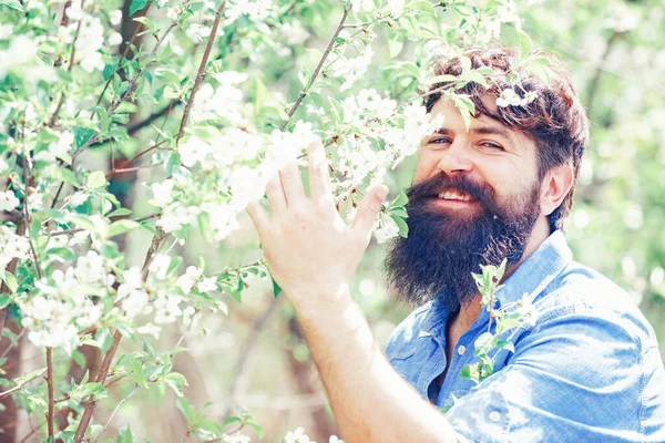 Fermier examinant la culture de figuier commun en plantation ou au champ. Beau jeune homme sur fond de printemps regardant la caméra. Printemps jardinage routine . — Photo