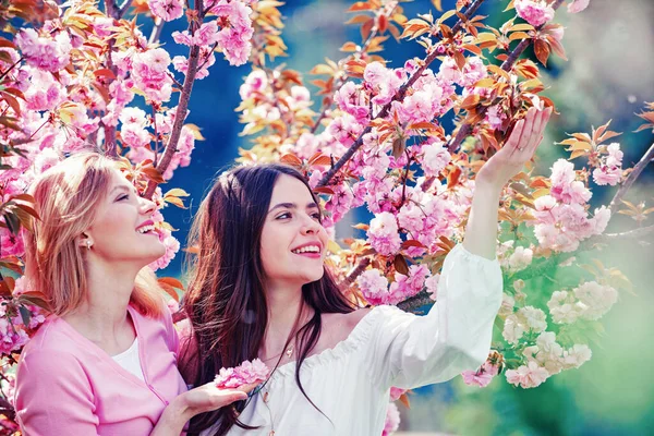 Cherry Blossom Händelser och platser. Kvinnors dag, 8 mars. Två glada flickor med Blossom sakura körsbär träd över naturen bakgrund. — Stockfoto