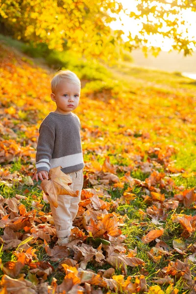 Álmodozó szőke kisfiú, aki az őszi parkban szórakozik a lehullott levelekkel. Aranyos kisbaba az őszi parkban, sárga levelekkel. Boldog család nyugszik odakint. Őszi szabadidő. — Stock Fotó