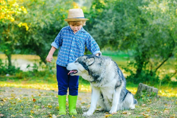 Pojken leker med sin hund på gräsmattan i parken. Glada små barn som har roligt med hund husdjur på plan. Barn 6 år. — Stockfoto