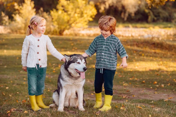 Niños felices divirtiéndose con mascotas de perro en el campo. Niño de 5 años. Una infancia sin preocupaciones. Niños pasando tiempo juntos con un perro en el campo . —  Fotos de Stock