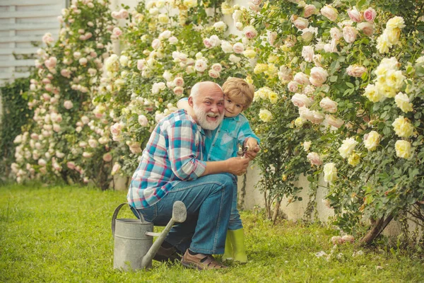 Abuelo y nieto. Viejo y joven. Concepto de edad de jubilación . — Foto de Stock