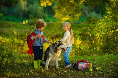 Çocuklar sahada köpekle vakit geçiriyorlar. Oğlan ve kız parkta çimlerin üzerinde köpeğiyle oynuyorlar. Macera ve tatiller Çocuk konsepti.