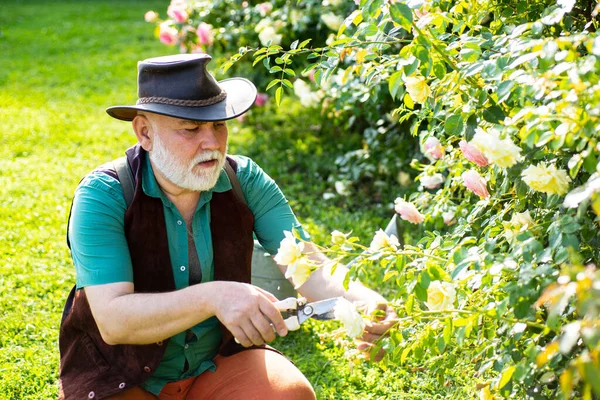 Älterer Mann bei der Gartenarbeit im Hinterhofgarten. Alter Mann arbeitet im Garten. — Stockfoto