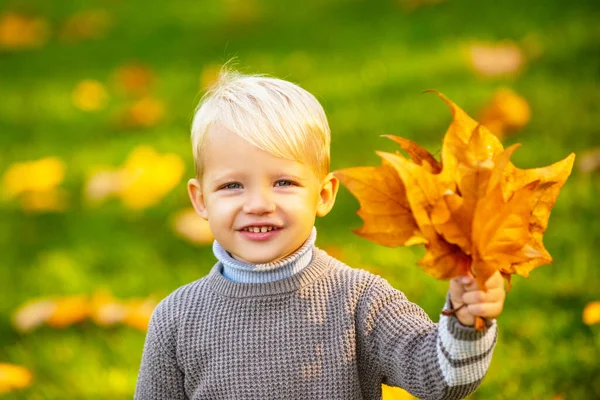 Förtjusande glad pojke leker med fallna löv i höstparken. — Stockfoto