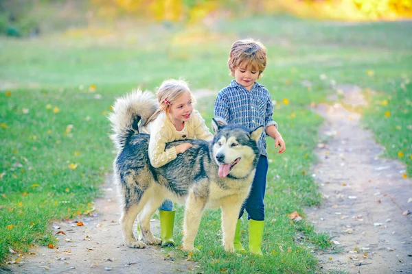 Niña y niño con perro mascota explorando vacaciones en la naturaleza. Niños pequeños en la aldea. Hermoso paisaje soleado de verano . —  Fotos de Stock