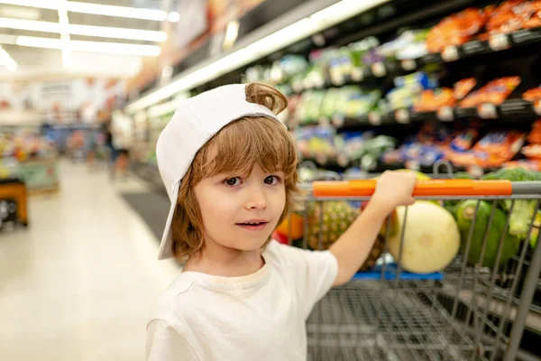 Chico divertido con carrito de compras lleno de verduras y frutas orgánicas frescas de pie en el departamento de comestibles de la tienda de alimentos o supermercado. Chico de compras en el supermercado sentado en el carro —  Fotos de Stock