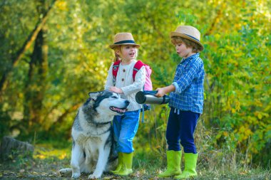 Küçük çocuklar evcil köpekleri ile birlikte dışarıda yürüyorlar. Çocukların doğaya aykırı bir alanda evcil hayvanı olması..