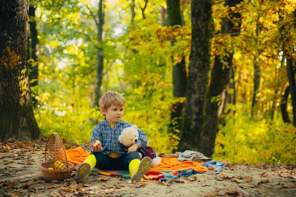 Joli petit garçon se détendre sur fond de paysage beauté automne. Promenade amusante dans le parc automnal. Bébé garçon tenant un jouet d'ours en peluche et mangeant une pomme douce. Concept de saison d'automne . — Photo