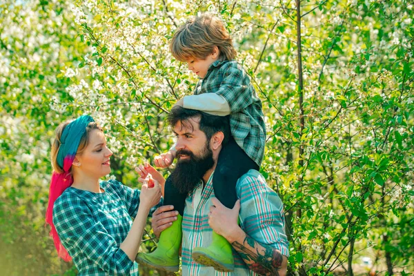 Famiglia felice in giardino. Stile di vita e vita familiare. Ragazzino con padre e madre in frutteto in primavera. Vita di campagna. Coppia con figlio giardinaggio nel giardino sul retro . — Foto Stock