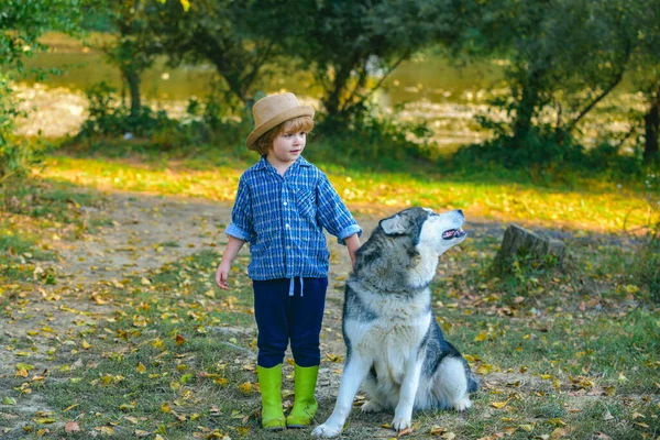 Zabawny chłopiec z psem spacerujący razem po zielonym wzgórzu. Letni portret szczęśliwego słodkiego dziecka - syna z psem. Mały braciszek spaceruje ze szczeniakiem. Wspomnienia z dzieciństwa. — Zdjęcie stockowe
