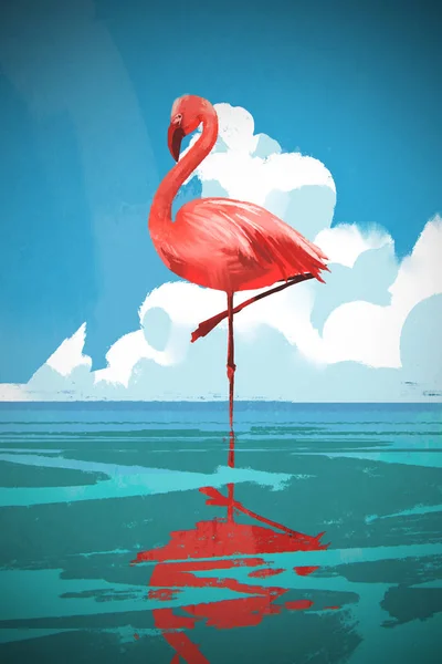 Flamingo står på havet mot blå sommarhimmel — Stockfoto