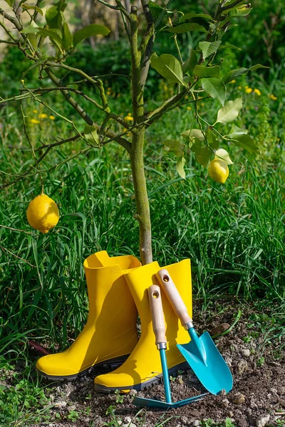 Gardening Time Yellow Boots Straw Hat Garden Trowel Hoe Cultivator — Stock Photo, Image