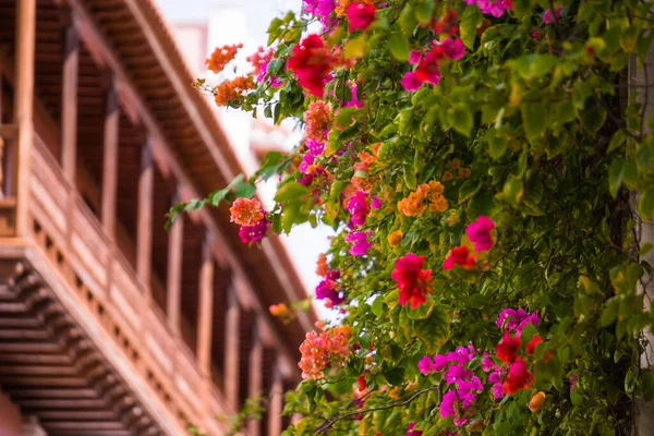 Eski Kartagena Kolombiya 'da geleneksel balkonlar ve çiçekler