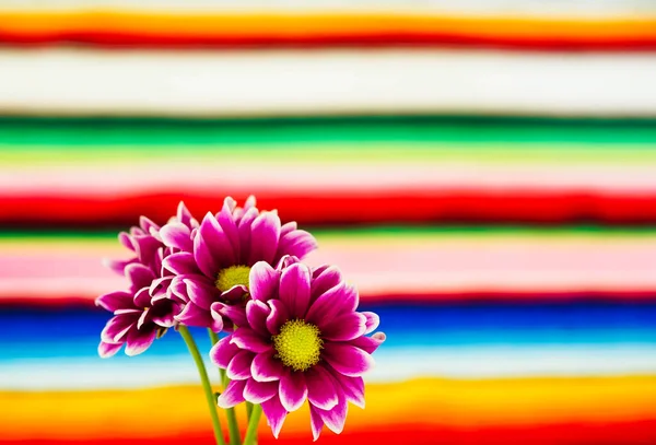 Renkli çiçek kavramı doğa çizgileri çok renkli