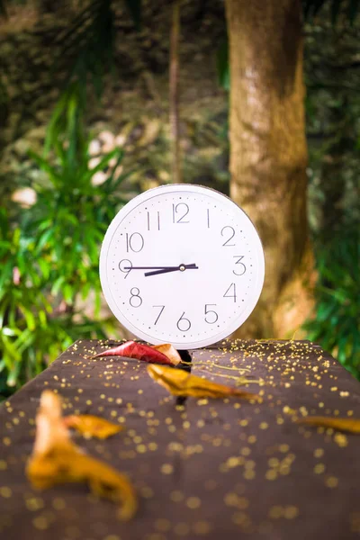  8: 45 sonbahar sezonu beyaz saat doğa sahnesi 