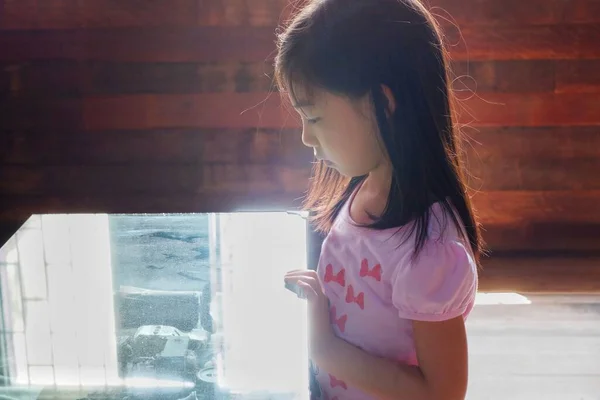 Genç ve çekici bir Asyalı kız camdan bir kutunun içinde camdan ışıklandırılmış bir müzeyi keşfediyor.