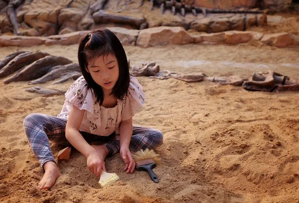 Kum havuzunda model bir dinozor fosiliyle oynayan sevimli bir Asyalı kız.