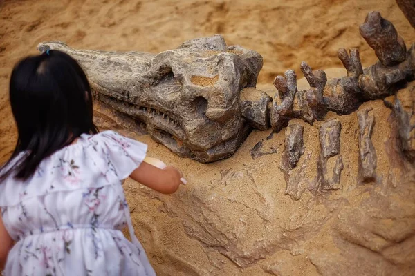 恐竜の化石をモデルに砂場で遊んで化石から砂を掘っている女の子 — ストック写真