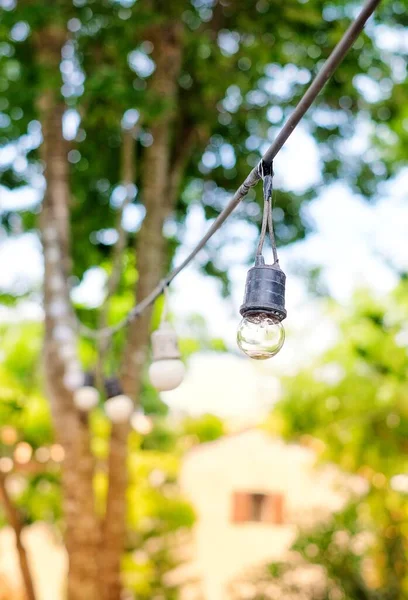 木の枝に吊るされた紐の上に電球 — ストック写真